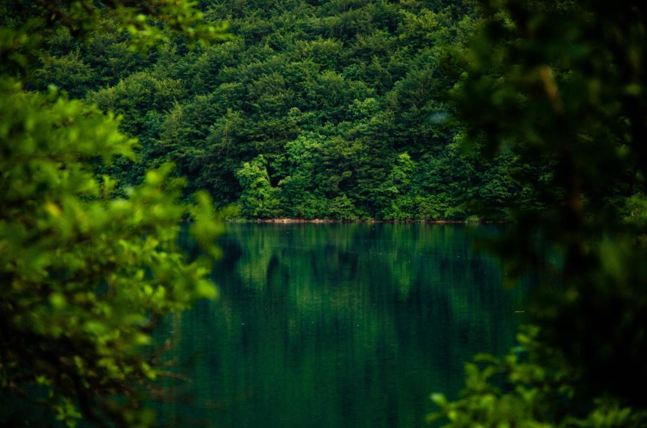 Hotel Piva Lake Glamping Plužine Exterior foto